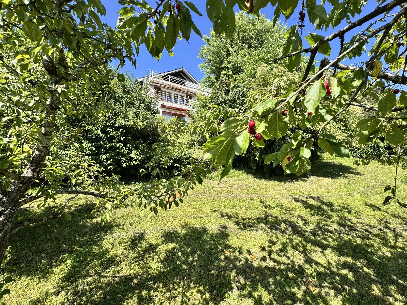 Bauland in Wettswil am Albis